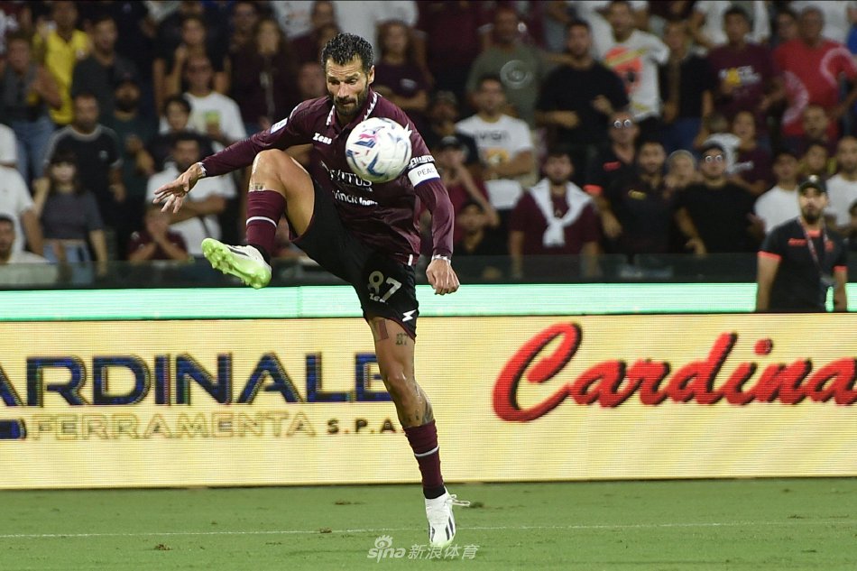 忽视国家在 忽视国家在